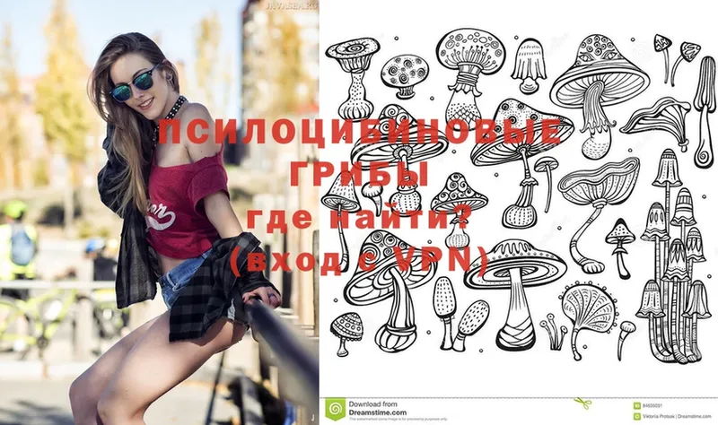 кракен ТОР  Тобольск  Галлюциногенные грибы MAGIC MUSHROOMS  купить закладку 